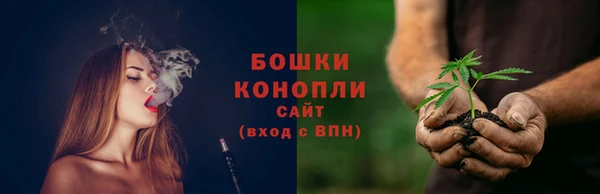 PSILOCYBIN Богородицк