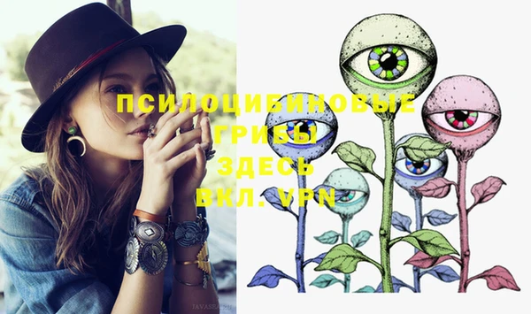 PSILOCYBIN Богородицк