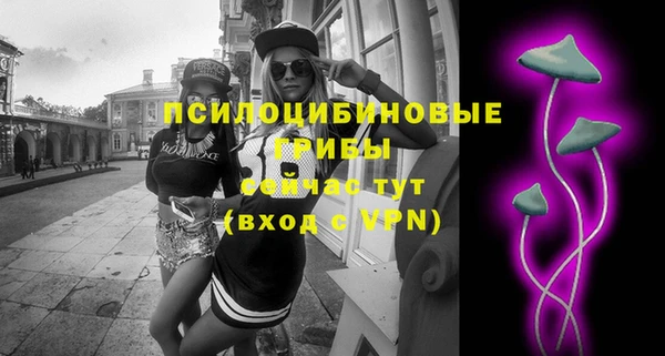 PSILOCYBIN Богородицк