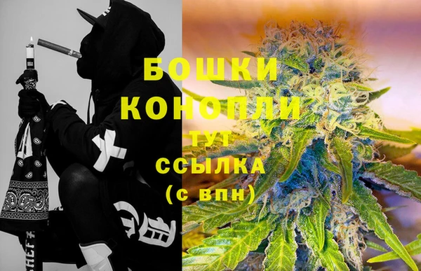 PSILOCYBIN Богородицк